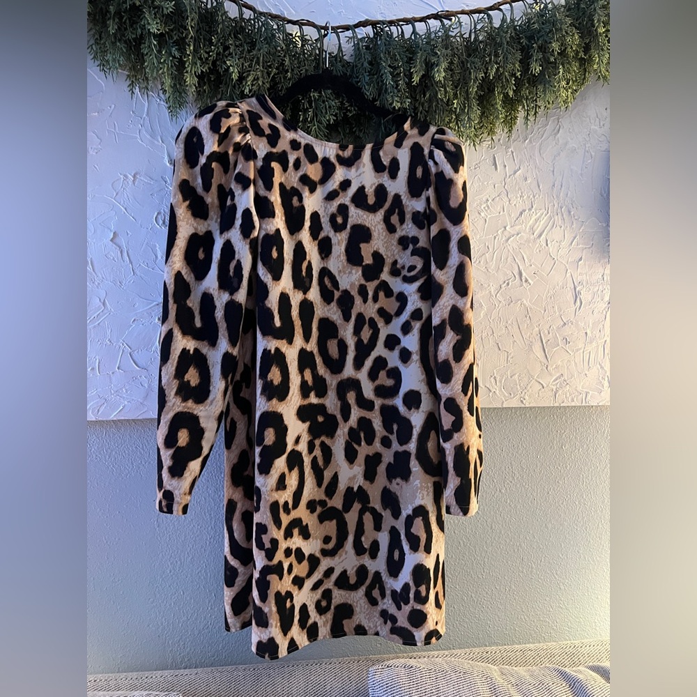 H&M Animal Print Dress